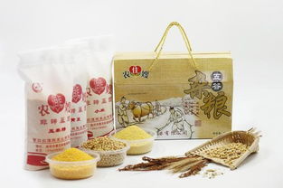 農(nóng)佳嫂 營口特產(chǎn)和文化藝術(shù)品鑒會(huì)明星產(chǎn)品