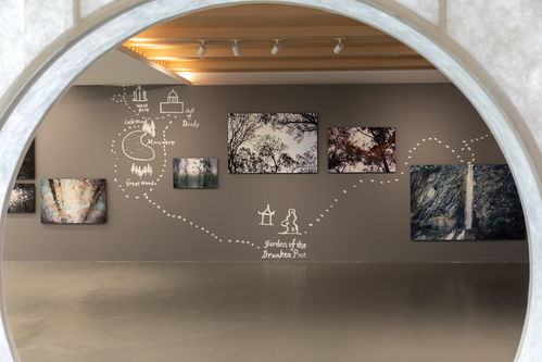 向西 聚焦松江 從藝術角度進入城市肌理與人文